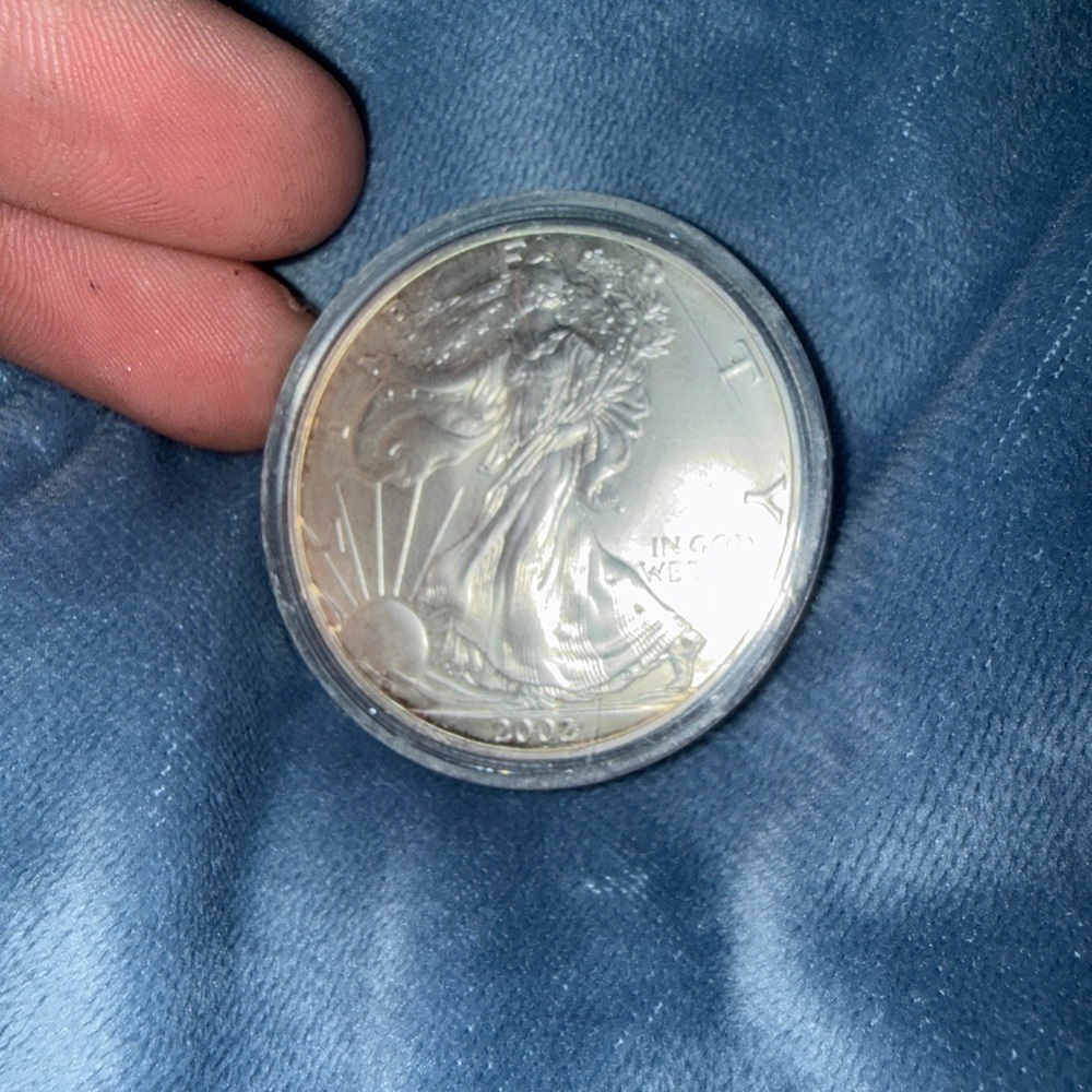 2002 1oz Silver Coin